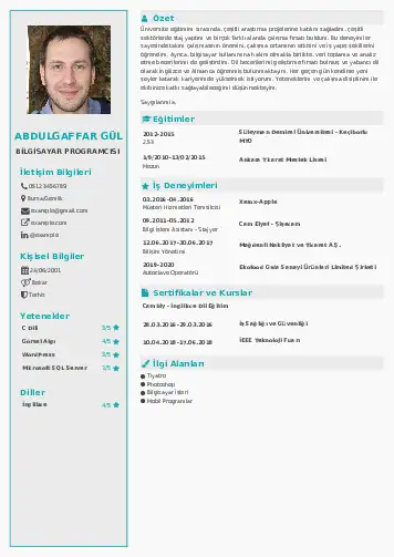 Bilgisayar Programcısı CV Örnekleri cv indir